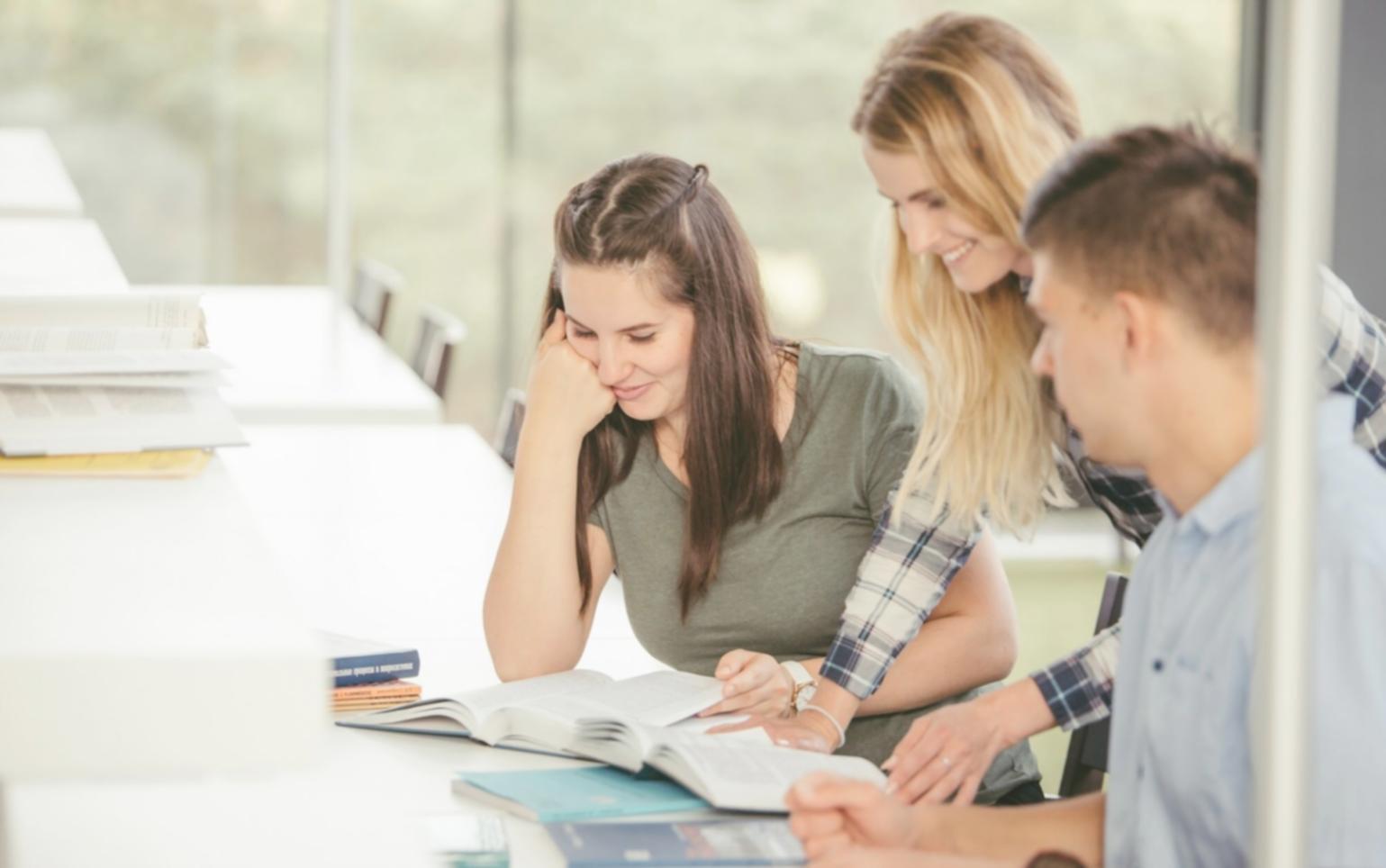 Teilnehmer bei der Analyse von Geschäftsdaten